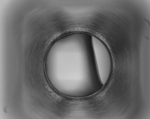 X0000099960625200805231027