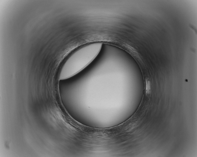 X0000099960627200805231027