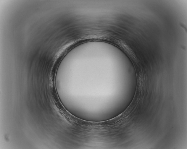 X0000099960628200805231027