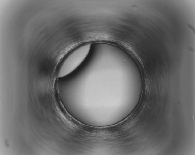 X0000099960629200805231027