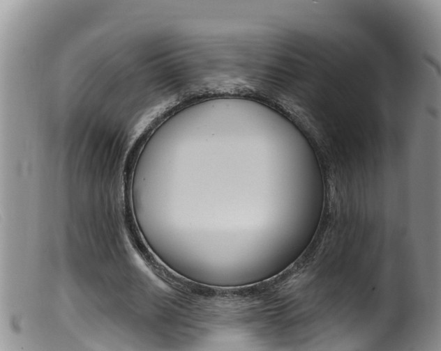 X0000099960630200805231027