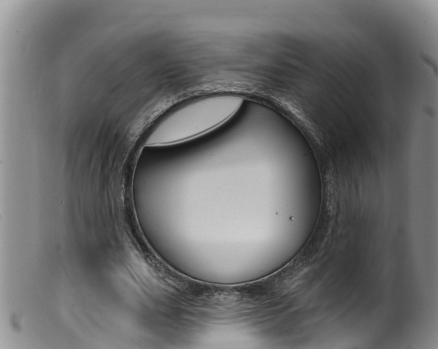 X0000099960631200805231027