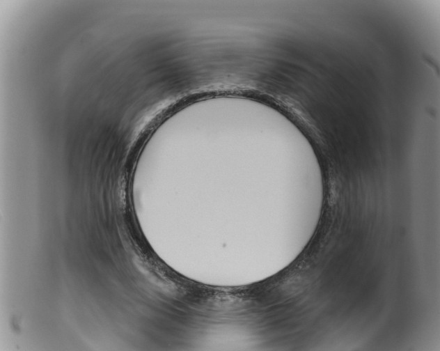 X0000099960632200805231027