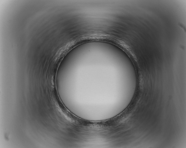 X0000099960633200805231027
