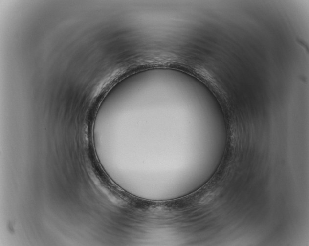 X0000099960634200805231028