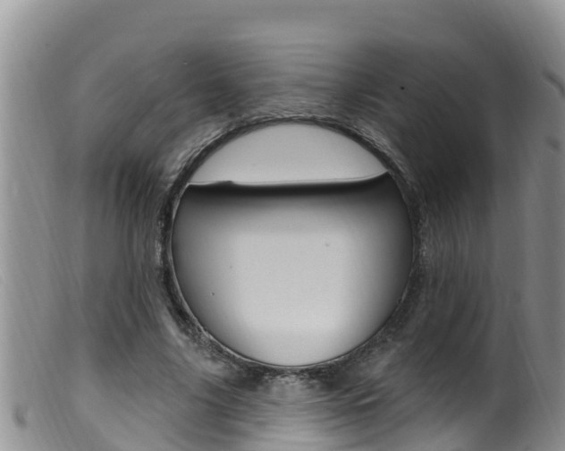 X0000099960635200805231028
