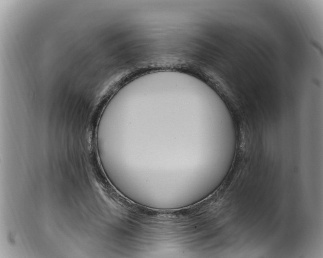 X0000099960636200805231028