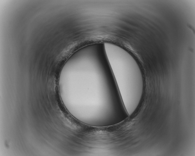 X0000099960637200805231028