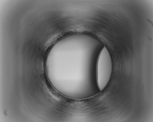 X0000099960638200805231028