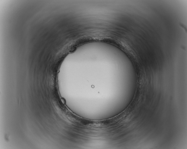 X0000099960639200805231028