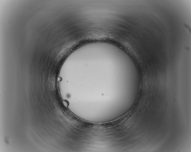 X0000099960640200805231028