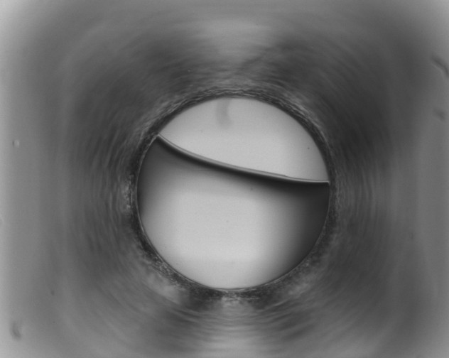 X0000099960641200805231028