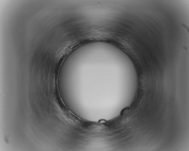 X0000099960642200805231028
