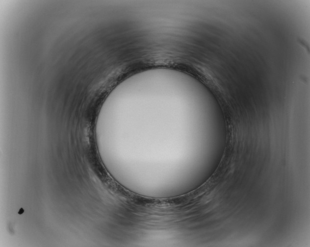 X0000099960643200805231028