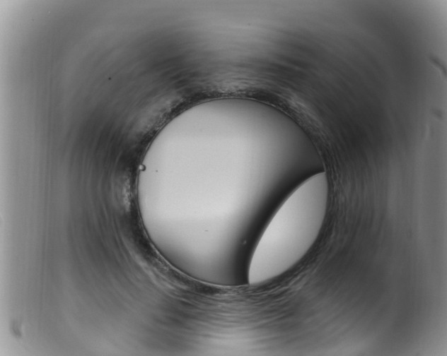 X0000099960644200805231028