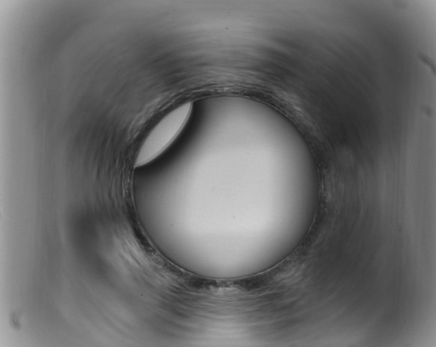 X0000099960645200805231028