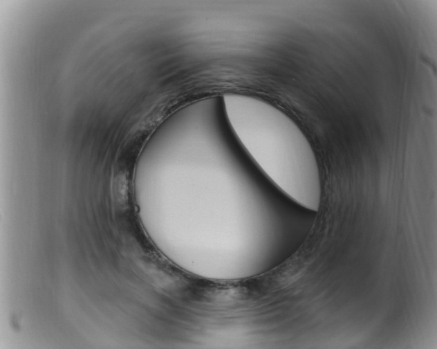 X0000099960646200805231028