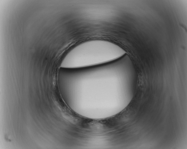 X0000099960648200805231028