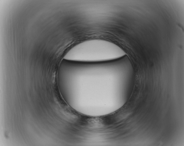 X0000099960652200805231028