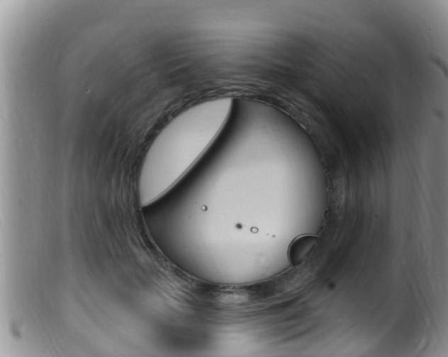 X0000099960653200805231028