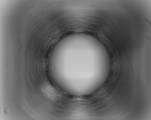 X0000099960655200805231028