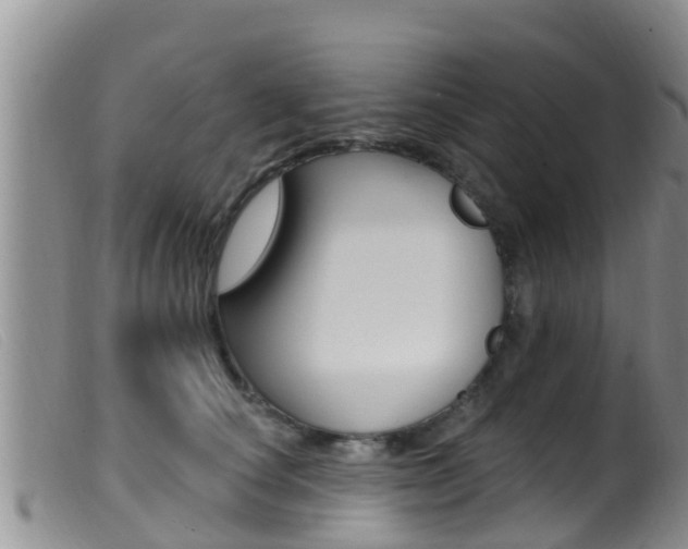 X0000099960660200805231028