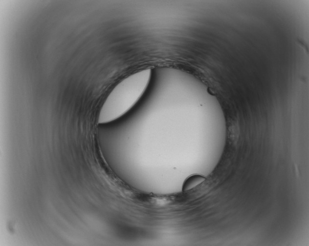 X0000099960662200805231028