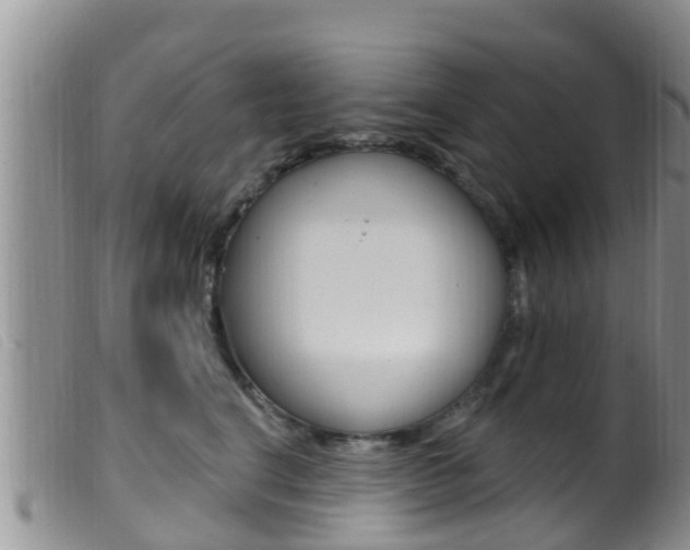X0000099960664200805231028