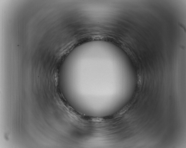 X0000099960666200805231028