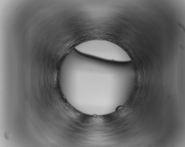 X0000099960668200805231028