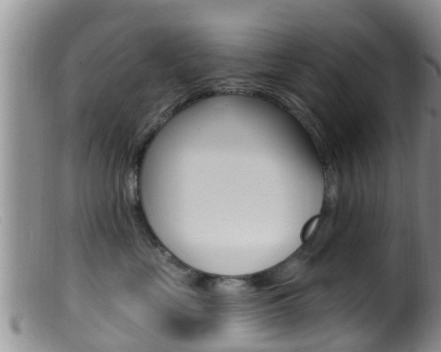 X0000099960669200805231028