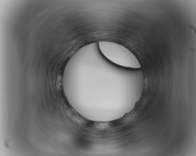 X0000099960671200805231028