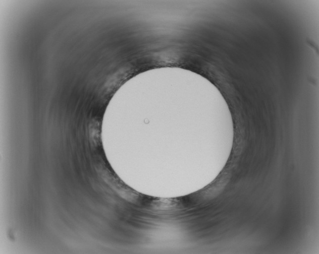 X0000099960672200805231028