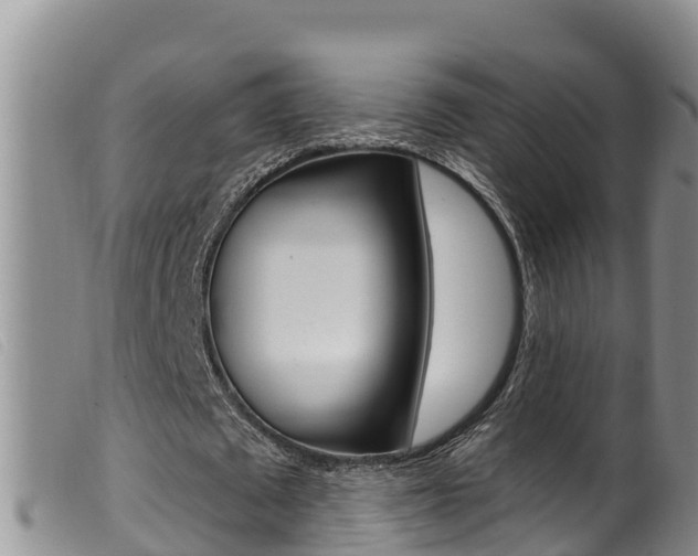 X0000099960673200805231027