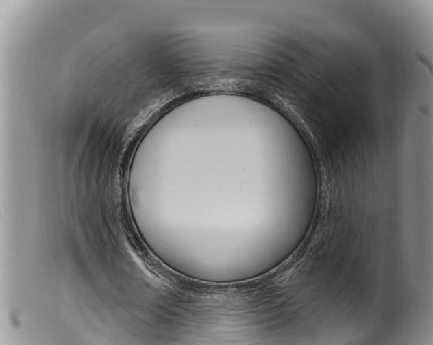 X0000099960674200805231027