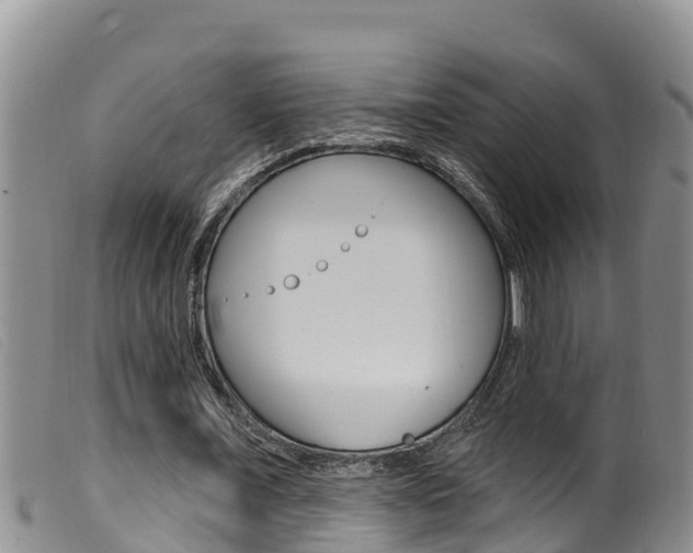 X0000099960675200805231027
