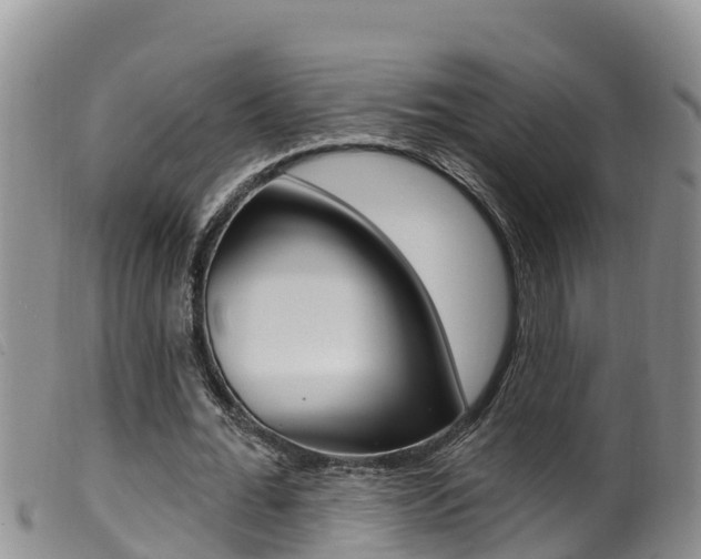 X0000099960676200805231027