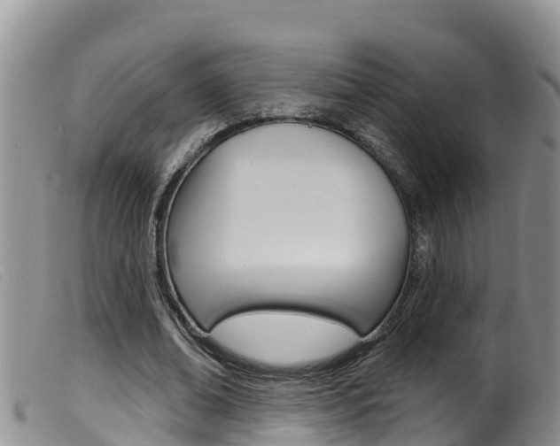 X0000099960678200805231027