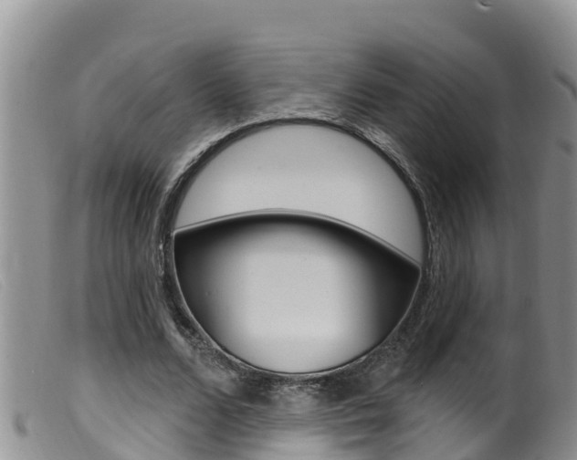 X0000099960680200805231027