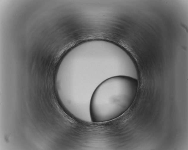 X0000099960681200805231027
