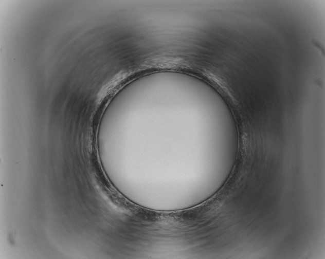 X0000099960682200805231027
