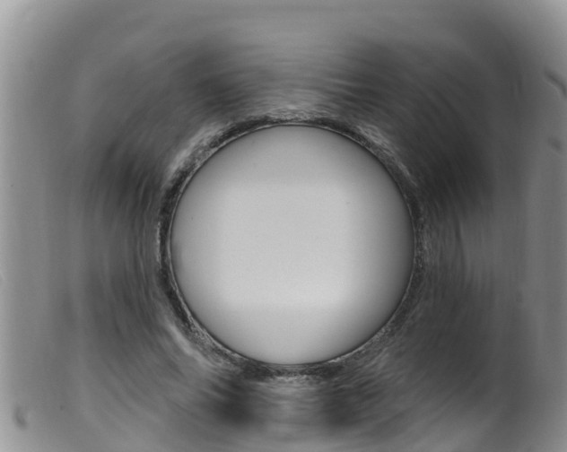 X0000099960686200805231027
