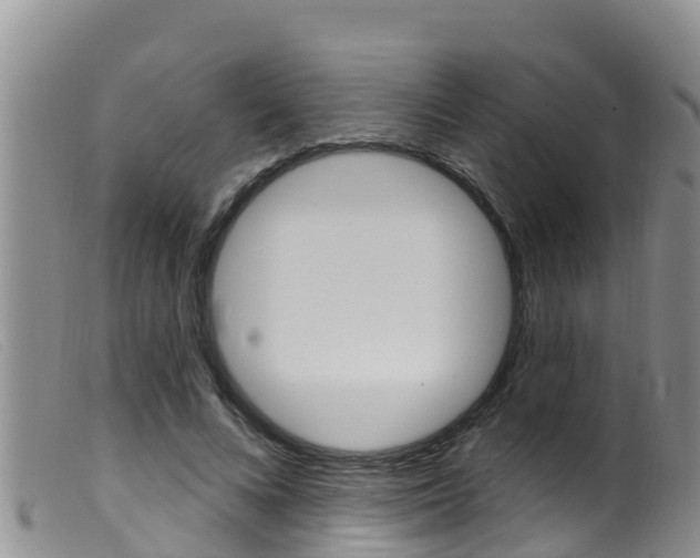 X0000099960688200805231027