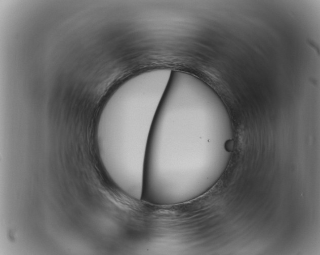 X0000099960691200805231027