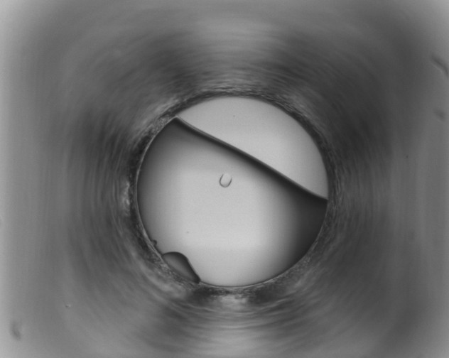 X0000099960692200805231027