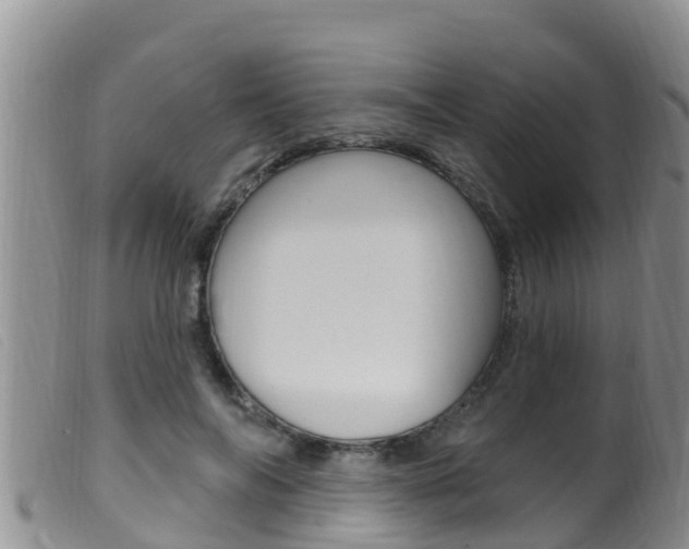 X0000099960694200805231027