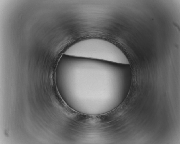 X0000099960696200805231027