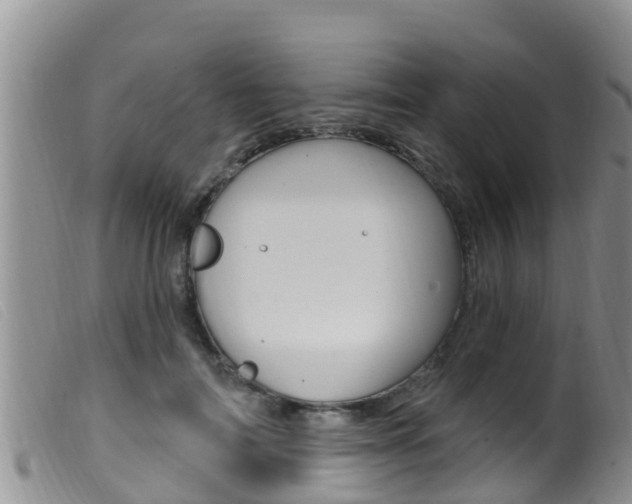 X0000099960698200805231027
