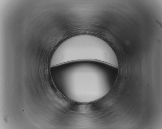 X0000099960700200805231027