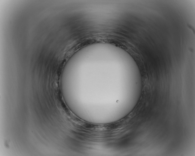 X0000099960702200805231027